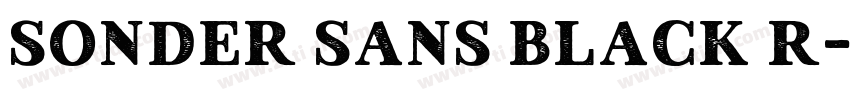 Sonder Sans Black R字体转换